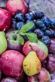 Garden fruits freshly harvested in late summer: apples, pears, plums.