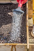 Sowing radishes in a mini patio garden (square garden), step by step.