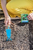 Sowing mesclun in a mini patio garden (square garden), step by step.