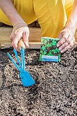 Sowing mesclun in a mini patio garden (square garden), step by step.