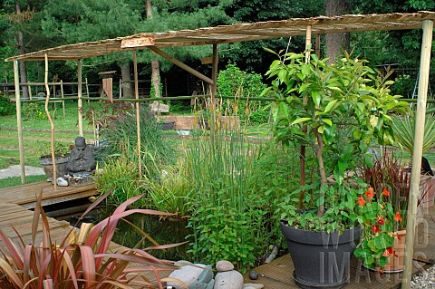Pond_in_a_garden_with_aquatic_plants_and_a_bamboo_structure_for_shade_flowering_nasturtiums_and_a_po