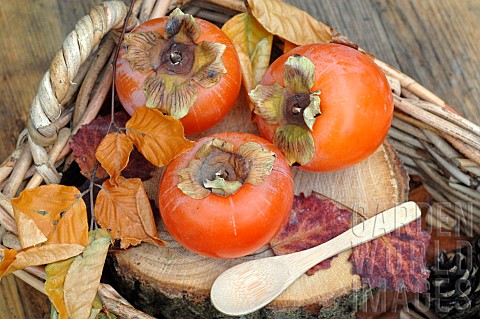 Persimmon_Asian_winter_fruit_health_benefits