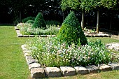 Small flowers and boxwood (Buxus sp) trimmed in squares marked with paving stones, Jardin du Bois Richeux, Eure et Loir, France