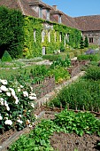 Vegetable plant and flowers in raised plessis squares, Medieval Garden of Bois Richeux, Eure et Loir, France