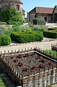 Oak leaf salads in raised plessis squares, Medieval Garden of Bois Richeux, Eure et Loir, France