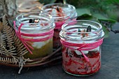 Verrines with beetroot and courgette from the garden, end of year party, natural decoration, wreath of leaves