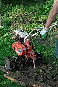 Use of a tiller to turn over the soil in a vegetable garden, spring work before planting