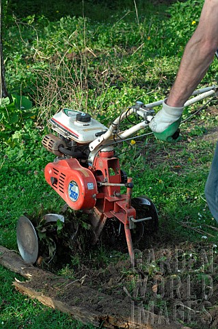Use_of_a_tiller_to_turn_over_the_soil_in_a_vegetable_garden_spring_work_before_planting
