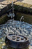 Small fountain with water jets in garden pond