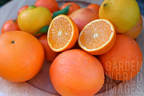 Mixed_citrus_fruits