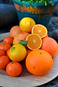 Mixed citrus fruits