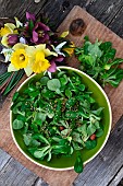 Lambs lettuce salad, (Valerianella locusta) and sesame seeds. First flowers of the year, bunch of Daffodils (Narcissus sp), Christmas Roses (Helleborus sp) and Snowdrops (Galanthus nivalis), Back to the garden