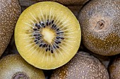 Yellow kiwi Jingold