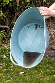 Emptying the cups under the plant pots to prevent the proliferation of mosquito larvae.