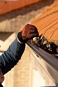 Gutter cleaning to prevent the proliferation of mosquito larvae