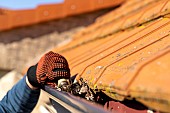 Gutter cleaning to prevent the proliferation of mosquito larvae