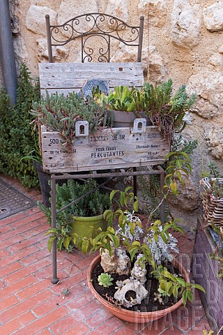 Decorative_chair_with_pots_of_succulents_on_a_terrace_France_Var_summer