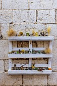 Decorative pallet on a garden terrace, France, Var, summer