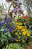 Bed of Mealycup sage (Salvia farinacea), Cut-leaved Coneflower (Rudbeckia laciniata) and Scarlet sage (Salvia splendens), France, North, autumn