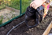 Preparing the ground in a greenhouse, France, Pas de Calais, spring