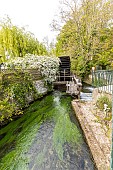 The Mill Anquetil on veules river, Veules-les-Roses, Seine Maritime, Haute Normandie, France
