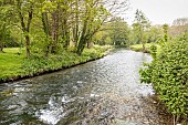 Saâne river, Ouville-la-Rivière, Pays de Caux, Seine Maritime, Haute Normandie, France