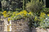 Wild mediterraneen garden in april, Abbaye Saint-Andre, Villeneuve-les-Avignon, Gard, France