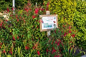 Refuge zone for insects sign in summer, Pas de Calais, France