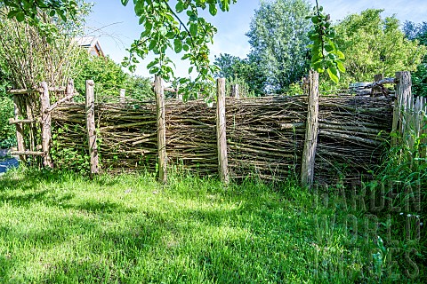 Dry_hedge_or_Benjes_hedge_in_a_garden_spring_Manche_Normandy_France