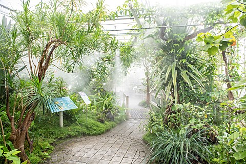 Tropical_greenhouse_Botanical_Conservatory_Garden_of_Brest_Finistre_Brittany_France