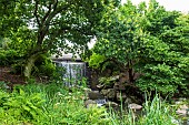 Botanical Conservatory Garden of Brest, Finistère, Brittany, France