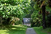 Botanical Conservatory Garden of Brest, Finistère, Brittany, France