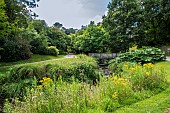 Botanical Conservatory Garden of Brest, Finistère, Brittany, France