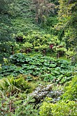 Botanical Conservatory Garden of Brest, Finistère, Brittany, France