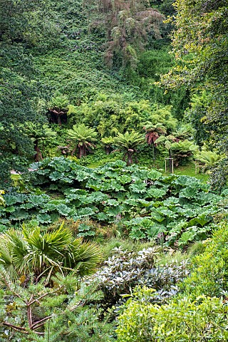Botanical_Conservatory_Garden_of_Brest_Finistre_Brittany_France