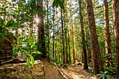 Cirque de Mafate, Reunion Island, France