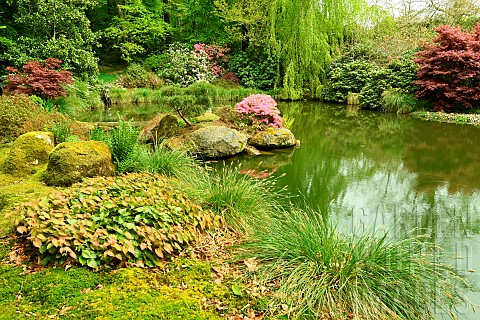 Japanese_garden_at_the_Parc_Floral_de_Haute_Bretagne_France