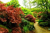 Japanese garden at the Parc Floral de Haute Bretagne, France