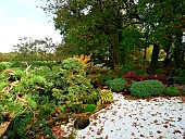 Japanese garden at Moulin de la Lande, Brittany, France