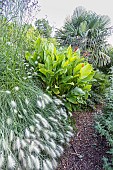 Pennisetum villosum, Canna indica, Trachycarpus wanerianus, Ecole du Breuil, Paris, France