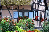 Flowery Alsatian house, Ecomusée de Haute Alsace, Haut-Rhin, Alsace, France