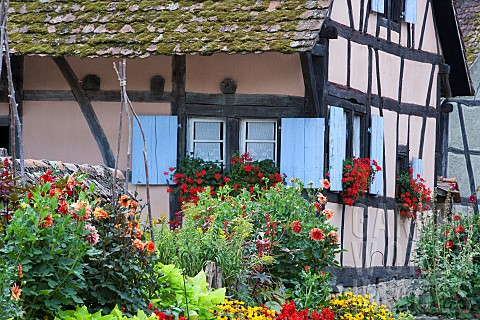 Flowery_Alsatian_house_Ecomuse_de_Haute_Alsace_HautRhin_Alsace_France