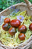 Tomato and butter bean, Summer vegetable, Vegetable garden, Jardins dAlsace, Haut-Rhin, France