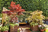 le Jardin Cocon by Prevosteau Paysagiste, Salon Jardins, Jardin / Aux Tuileries May 2023, Paris, France