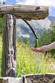 Drinking trough, Alpes-de-Haute-Provence, France