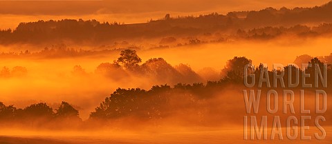 Hedgerows_in_the_morning_mist_Ardennes_Belgium