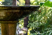 Birdbath fountain, Jardin botanique Val Rahmeh, Menton, Alpes-Maritimes, France