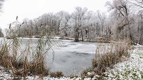 Merrey_pond_in_winter_Bouxires_aux_Dames_Lorraine_France
