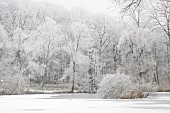 Merrey pond in winter, Bouxières aux Dames, Lorraine, France