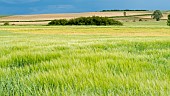 Countryside landscape between Lay St-Christophe and Eulmont, Lorraine, France